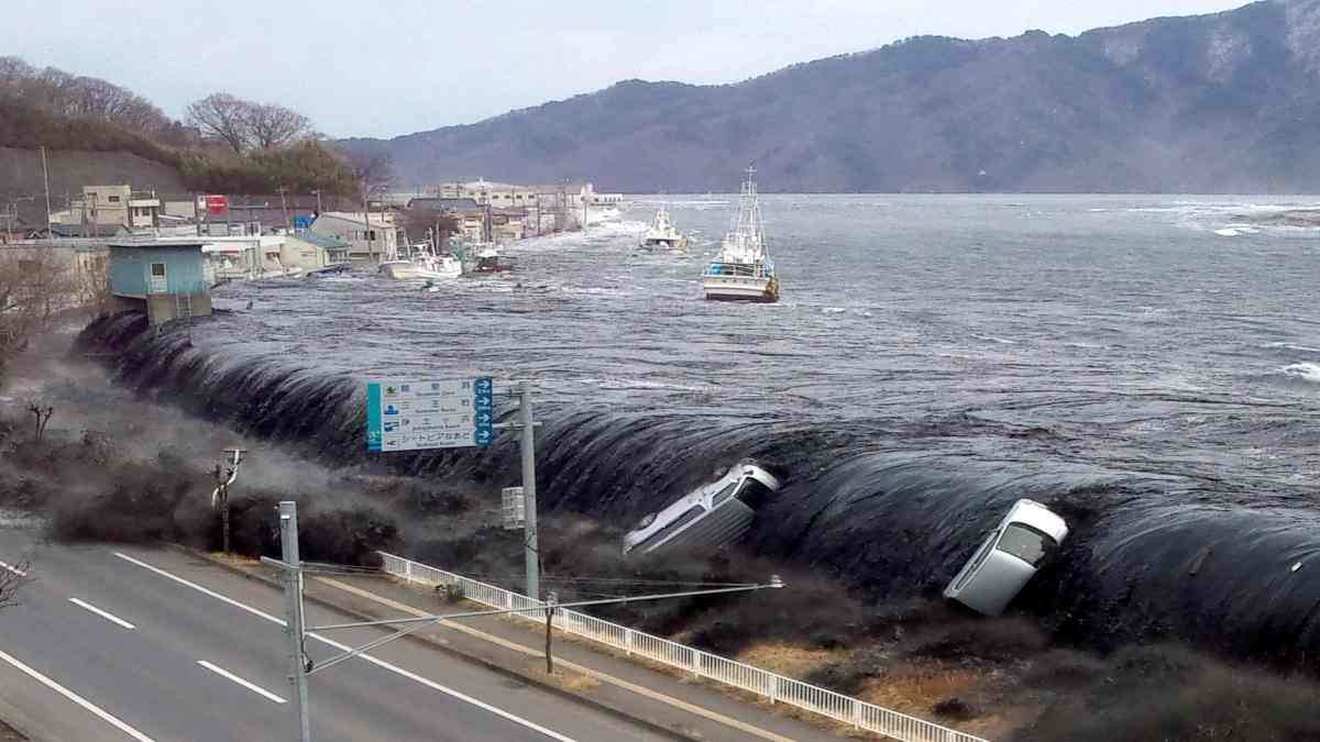 tsunami sopravvivere