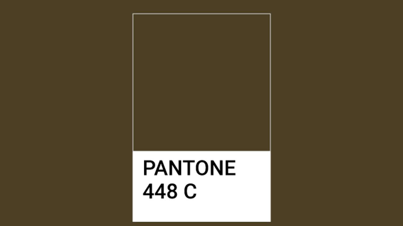 pantone 448 C
