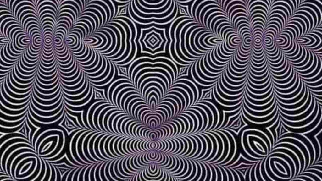 606419_6