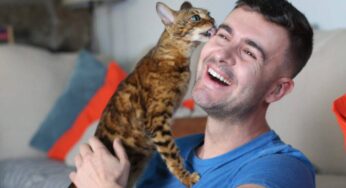 Il gatto vi lecca? Ecco la (tenera) ragione del suo gesto